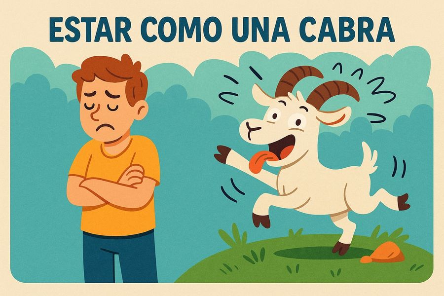 Modismos y Locuciones - Tarjeta Ilustrada