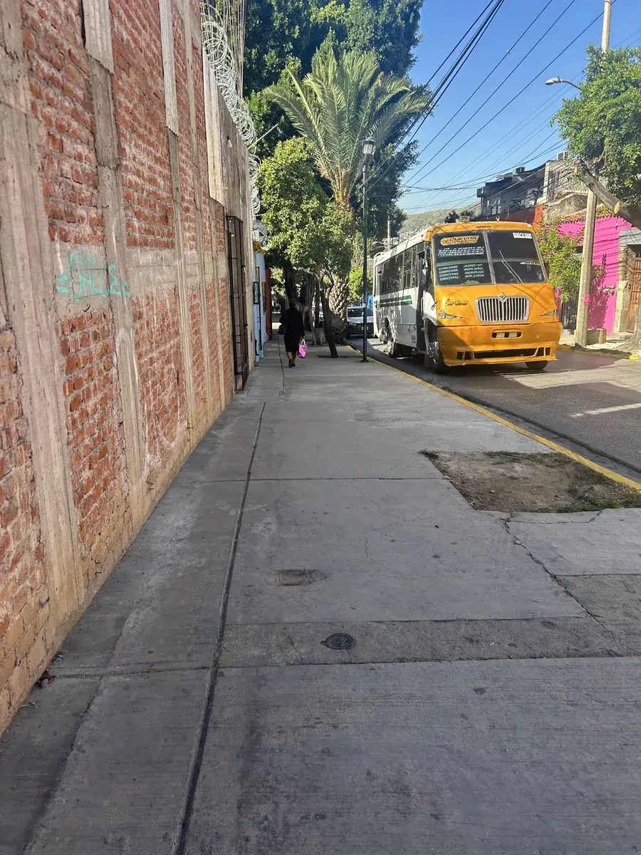 Estudiantes aprendiendo español y explorando la cultura en Oaxaca, México