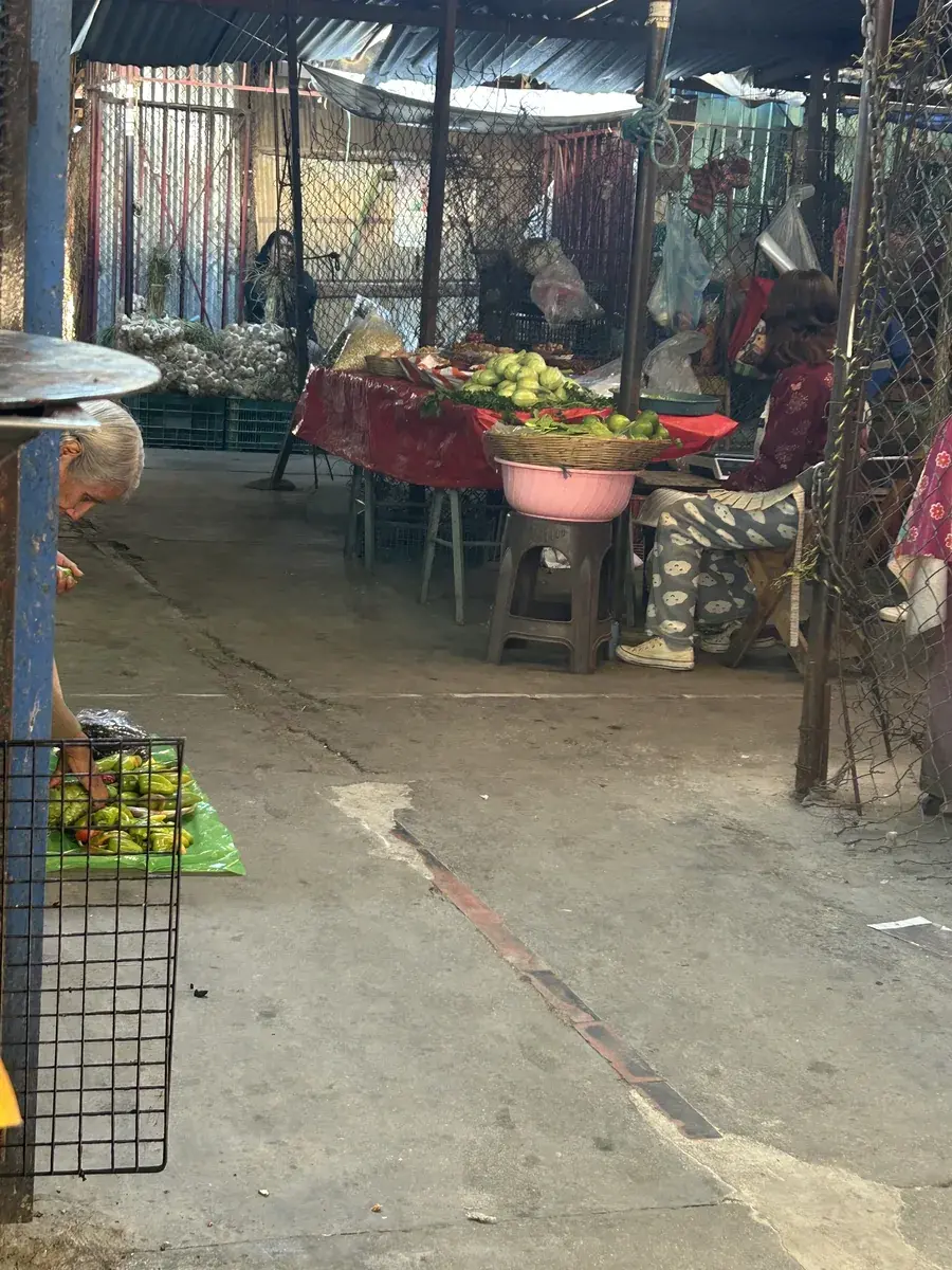 Estudiantes aprendiendo español y explorando la cultura en Oaxaca, México