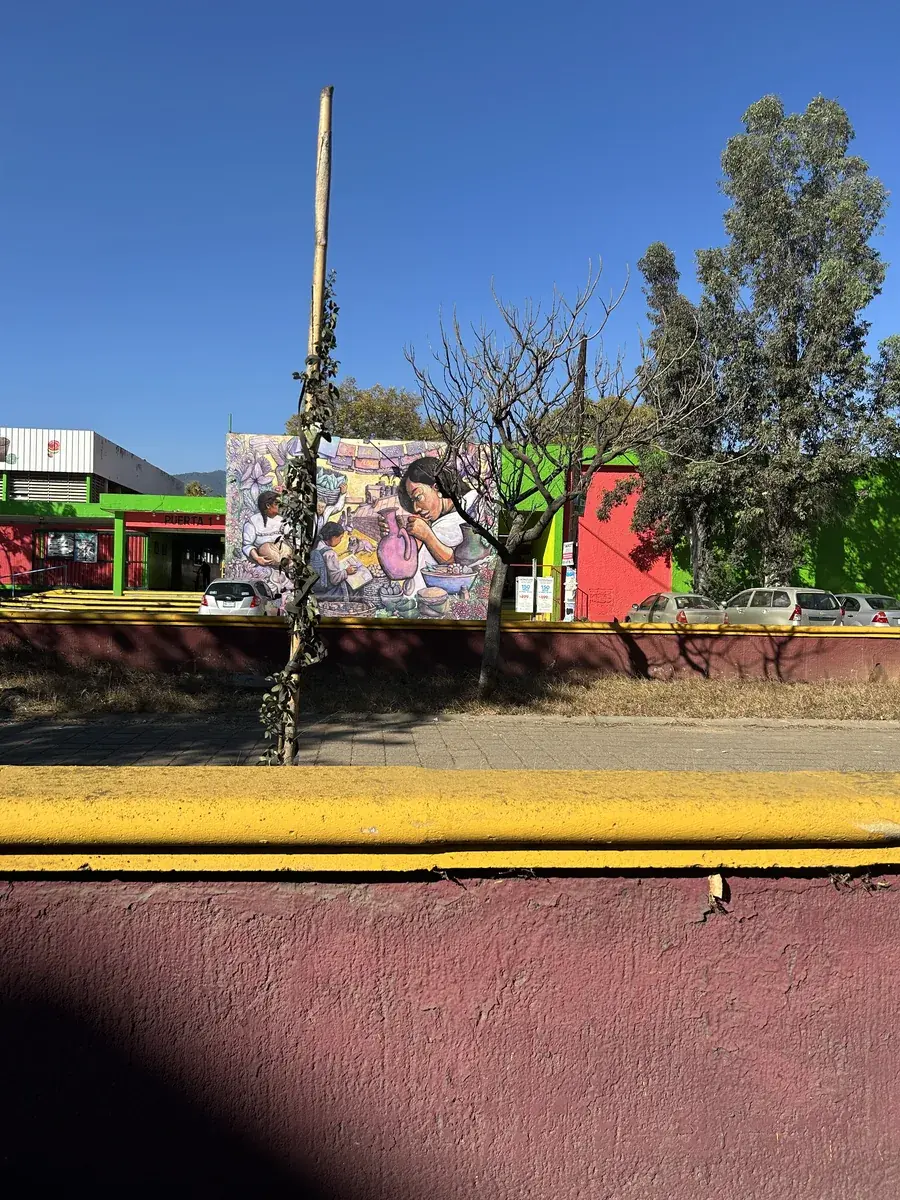 Estudiantes aprendiendo español y explorando la cultura en Oaxaca, México