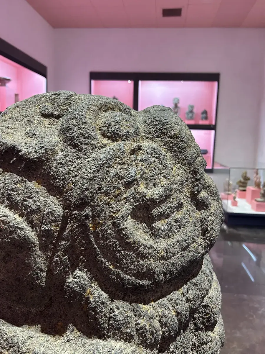 Estudiantes aprendiendo español y explorando la cultura en Oaxaca, México