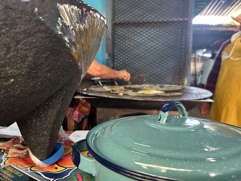 Estudiantes aprendiendo español y explorando la cultura en Oaxaca, México