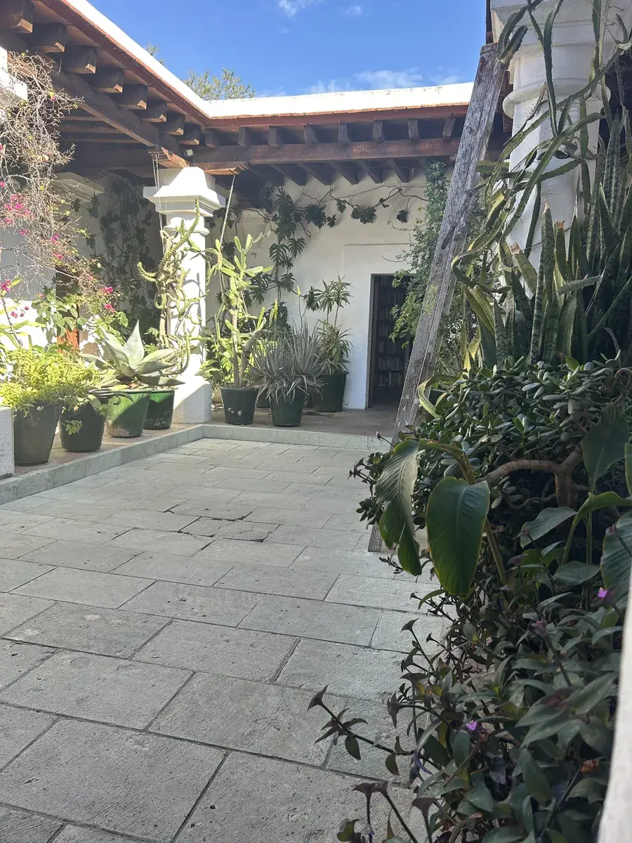 Estudiantes aprendiendo español y explorando la cultura en Oaxaca, México