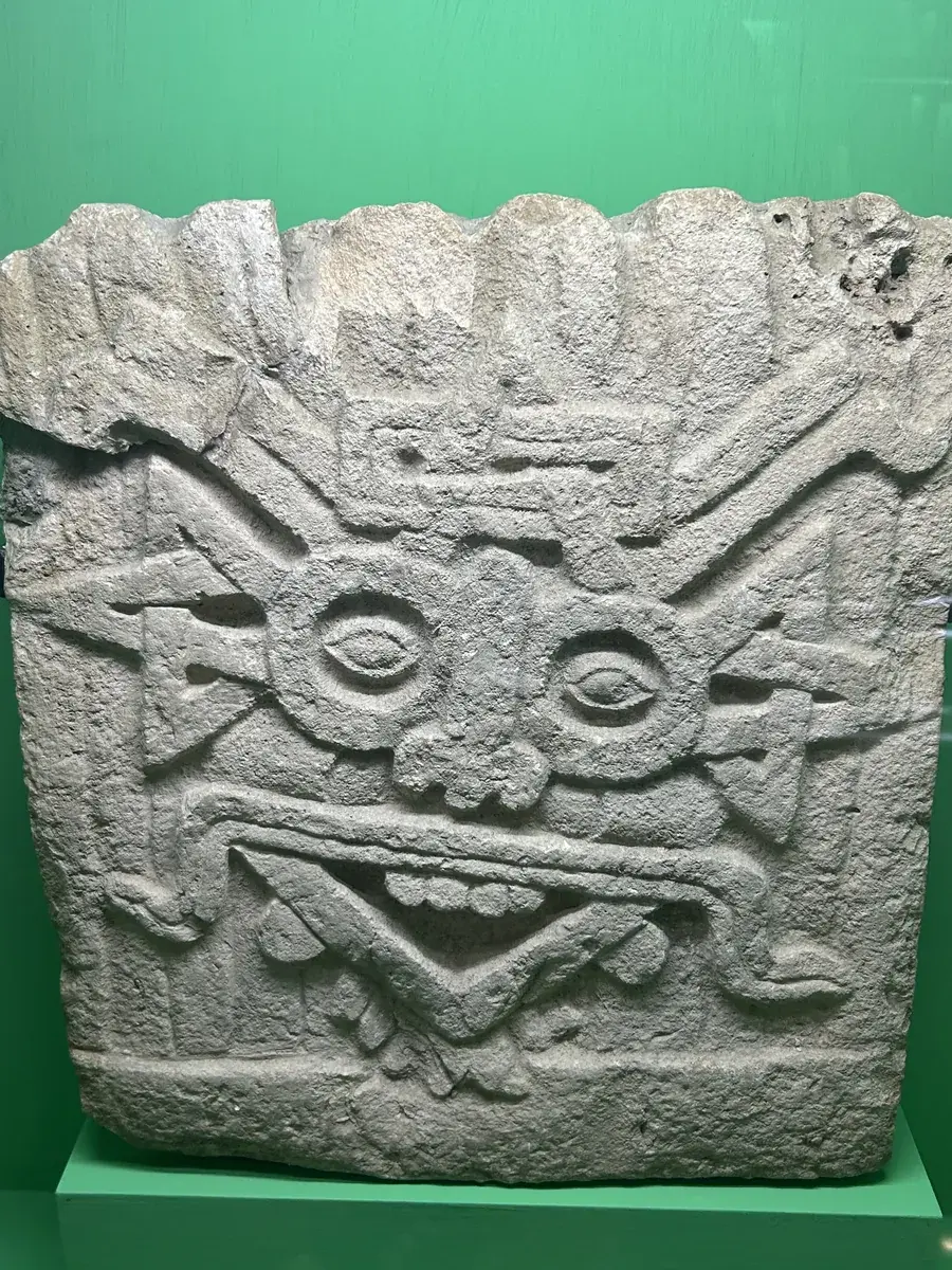 Estudiantes aprendiendo español y explorando la cultura en Oaxaca, México